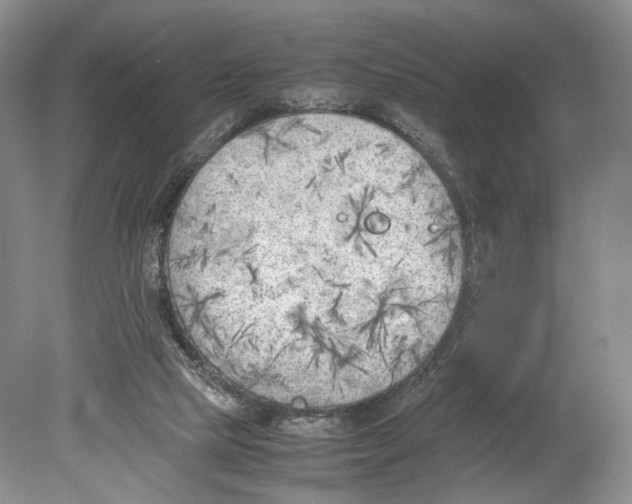 X0000078880065200612111750