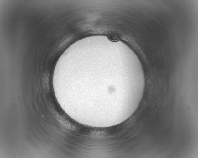 X0000078880066200612111750