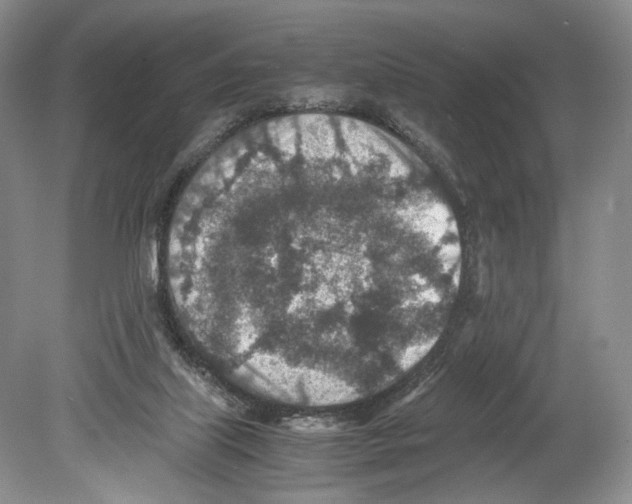 X0000078880067200612111750