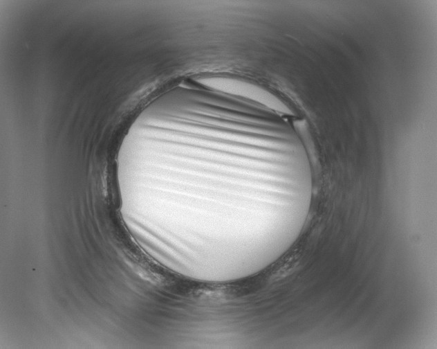 X0000078880068200612111750