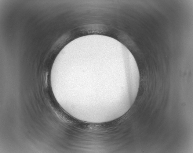 X0000078880070200612111750