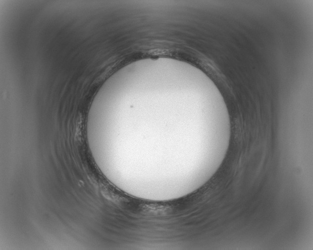 X0000078880073200612111750