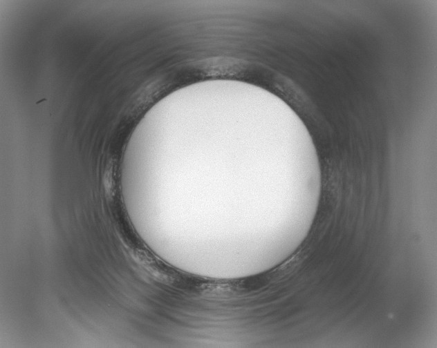 X0000078880074200612111750