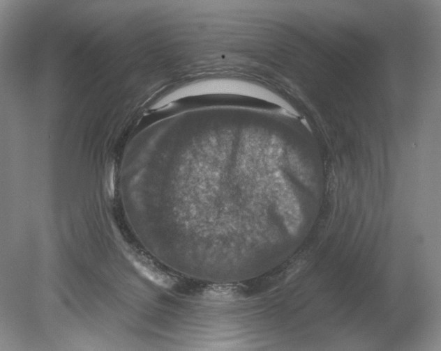 X0000078880076200612111750