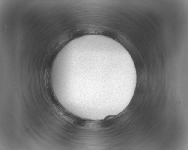 X0000078880078200612111750