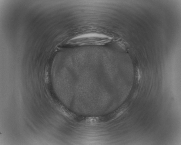 X0000078880080200612111750