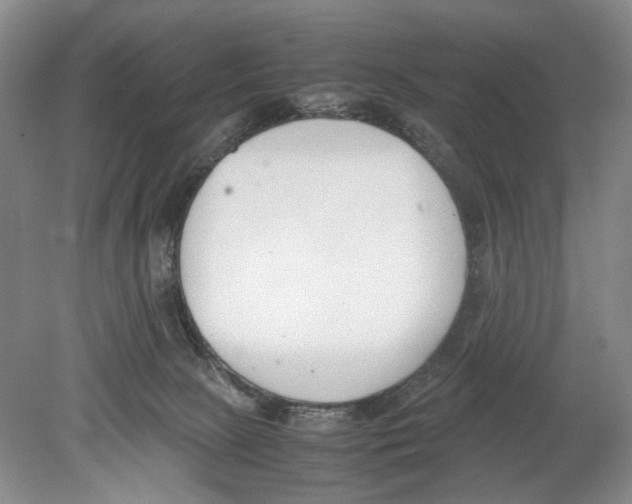 X0000078880081200612111750