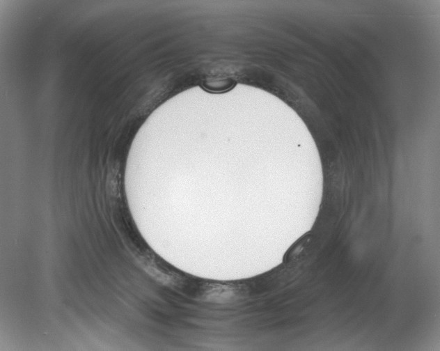 X0000078880083200612111750