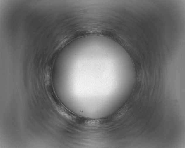 X0000078880084200612111750