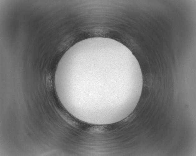 X0000078880086200612111750