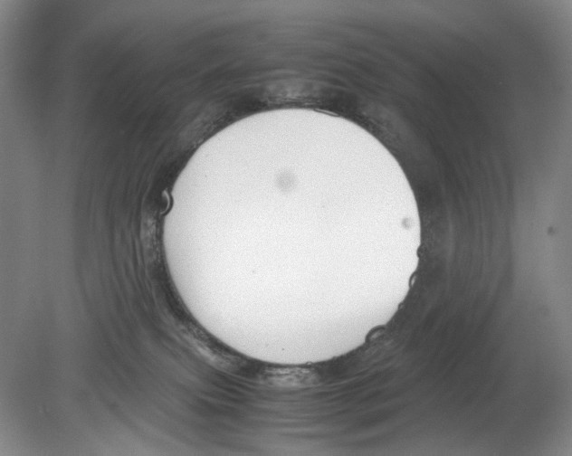 X0000078880087200612111750