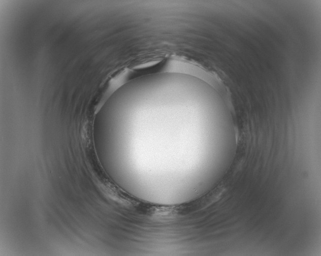 X0000078880088200612111750