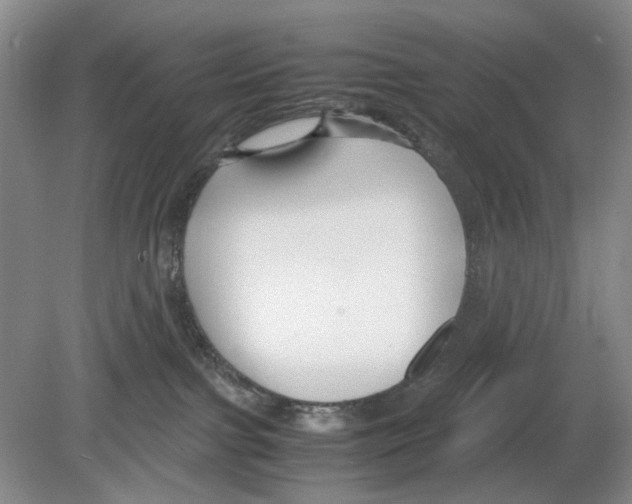 X0000078880091200612111750