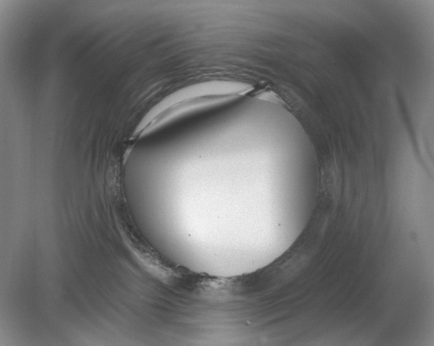 X0000078880092200612111750