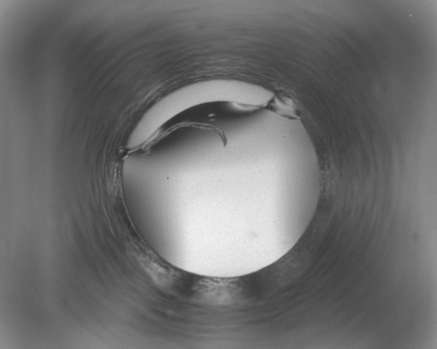 X0000078880093200612111750