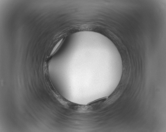 X0000078880096200612111750