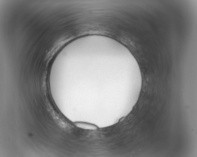 X0000078880098200612111750