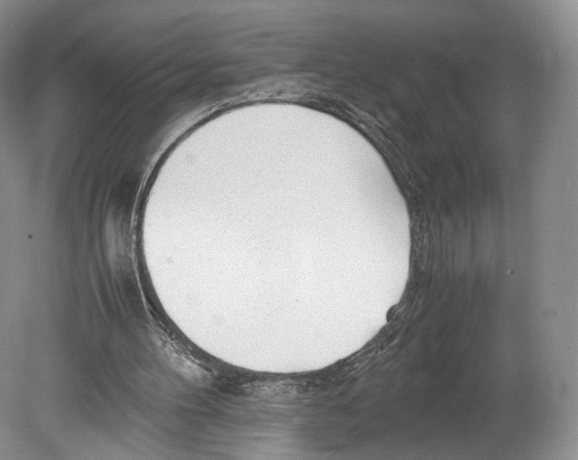 X0000078880100200612111750