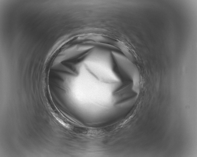 X0000078880101200612111750