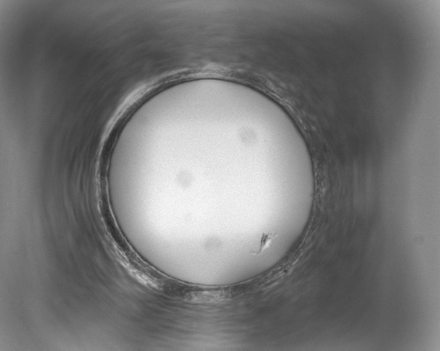 X0000078880102200612111750