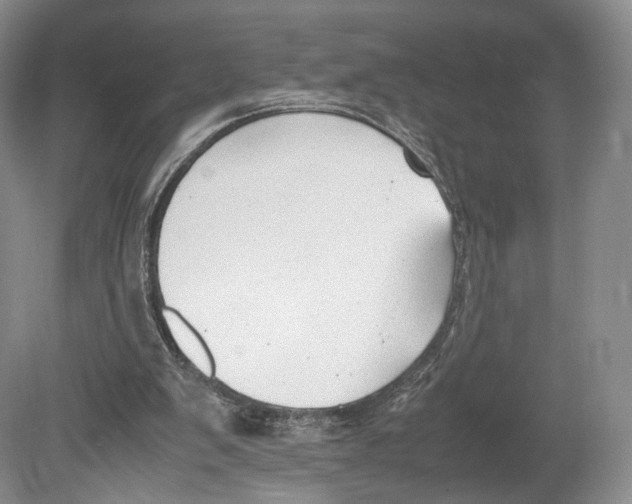 X0000078880103200612111750