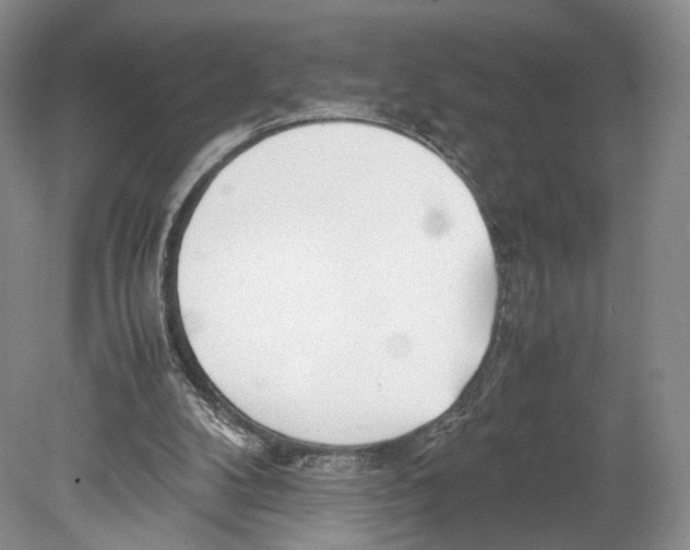 X0000078880104200612111750