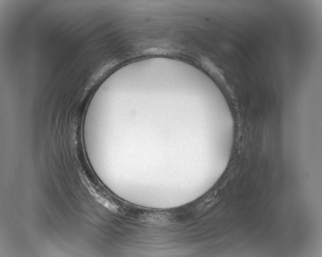 X0000078880106200612111750