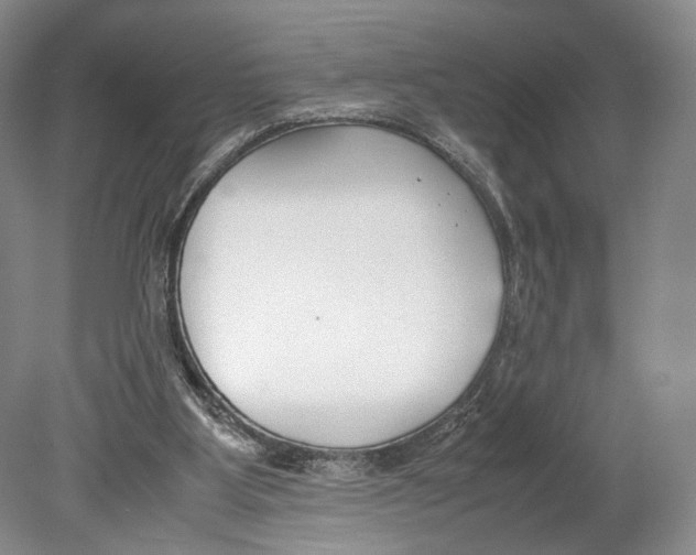 X0000078880107200612111749