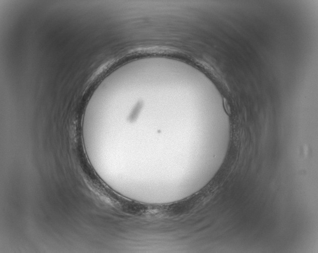 X0000078880111200612111749