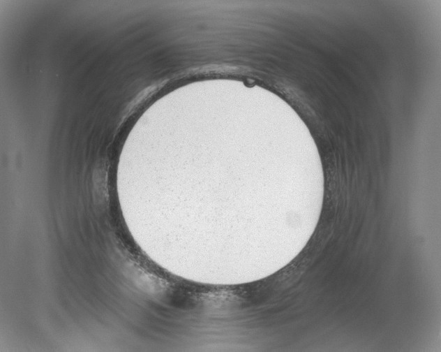 X0000078880112200612111749