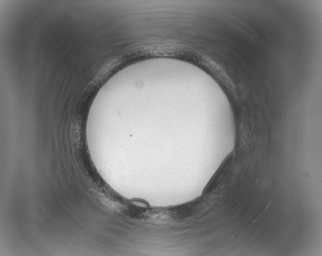 X0000078880113200612111749