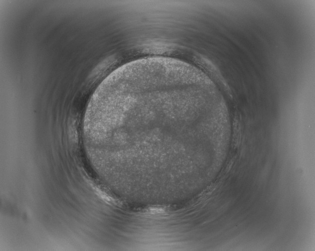 X0000078880114200612111749