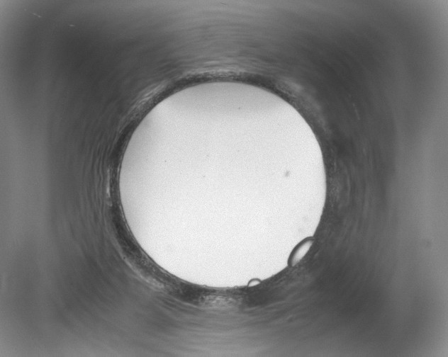 X0000078880115200612111749