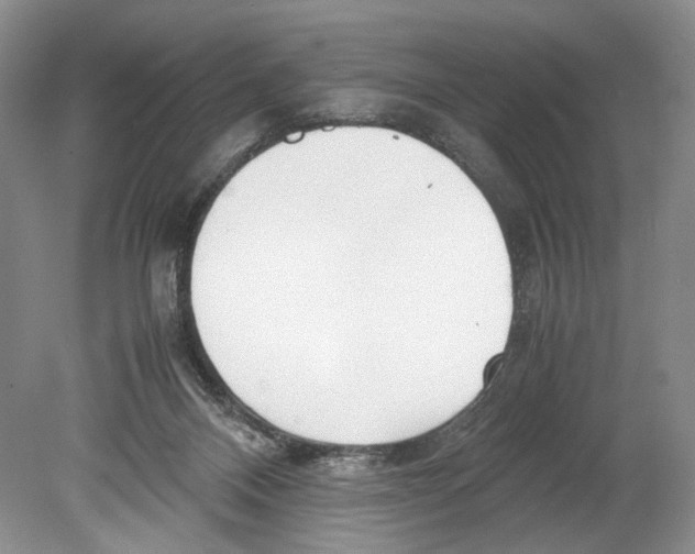 X0000078880120200612111749