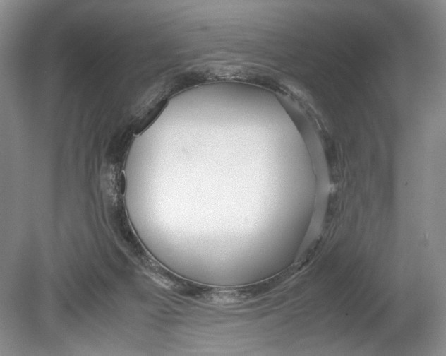 X0000078880121200612111749