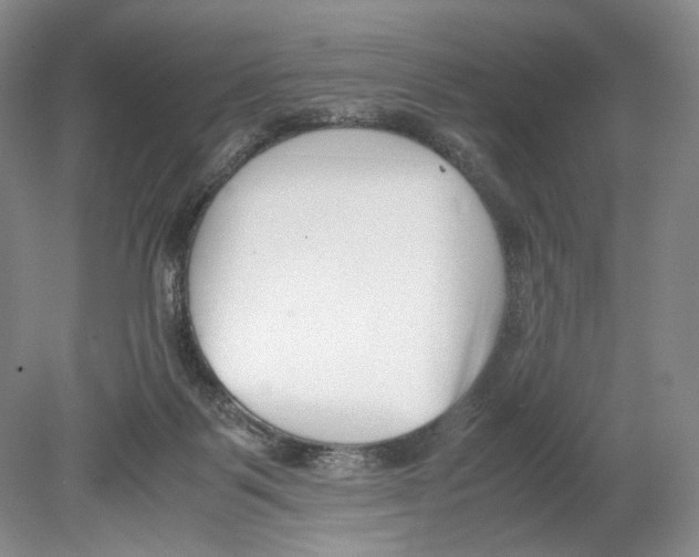 X0000078880123200612111749