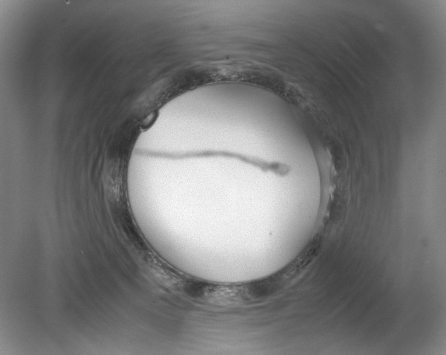 X0000078880129200612111749