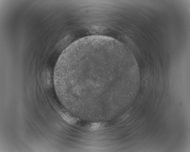 X0000078880130200612111749