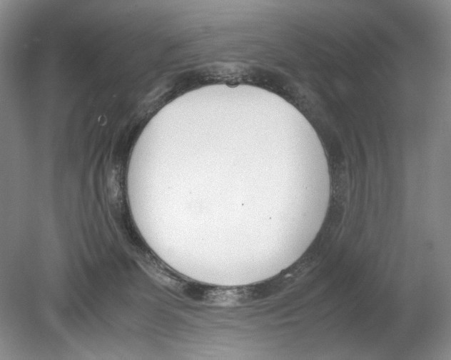 X0000078880131200612111749