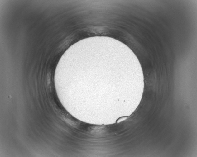 X0000078880132200612111749