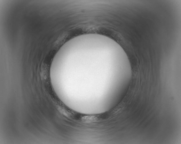 X0000078880133200612111749