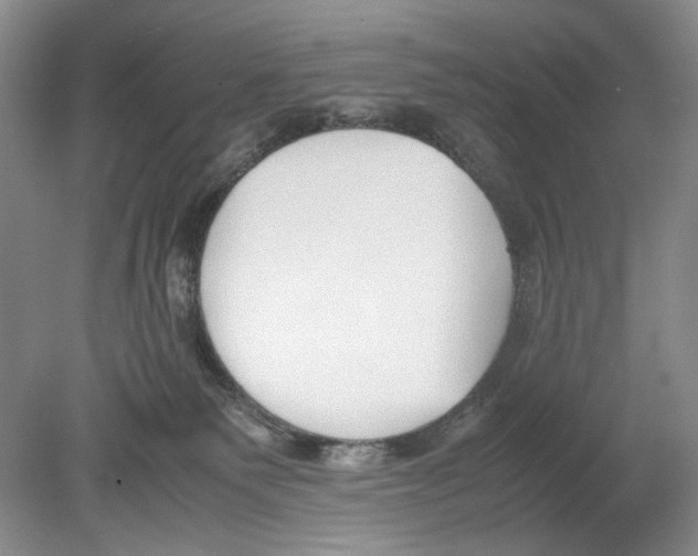 X0000078880135200612111749