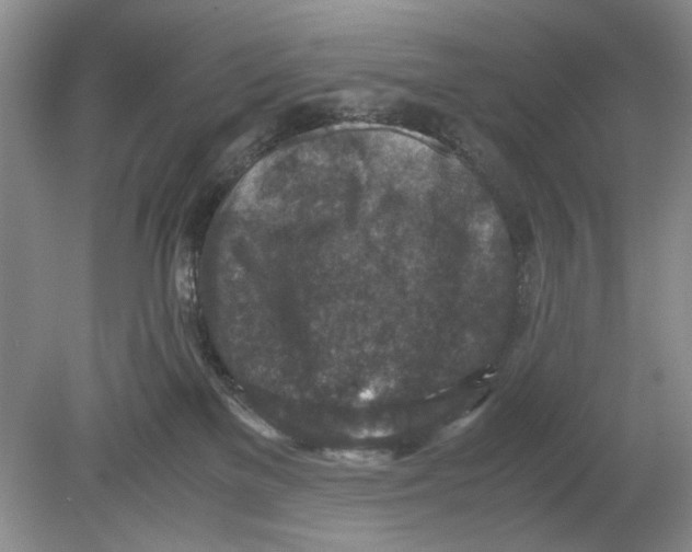 X0000078880137200612111749