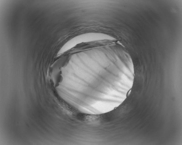 X0000078880139200612111749