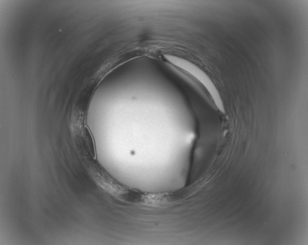 X0000078880141200612111749