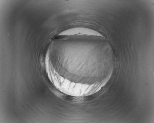 X0000078880143200612111749