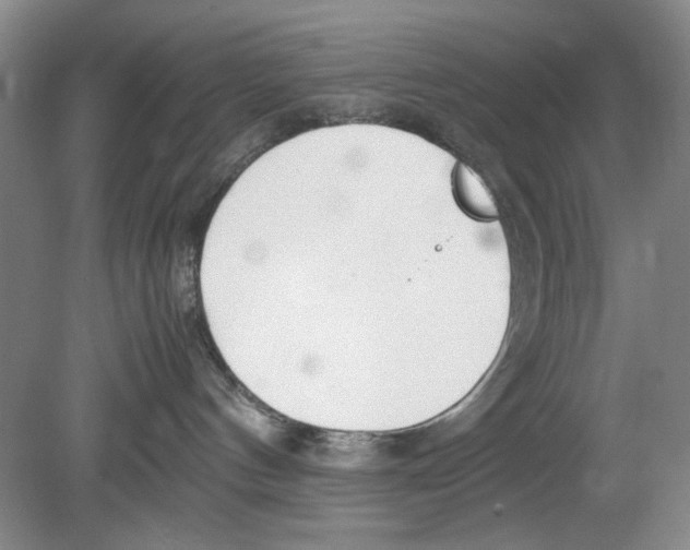 X0000078880144200612111749