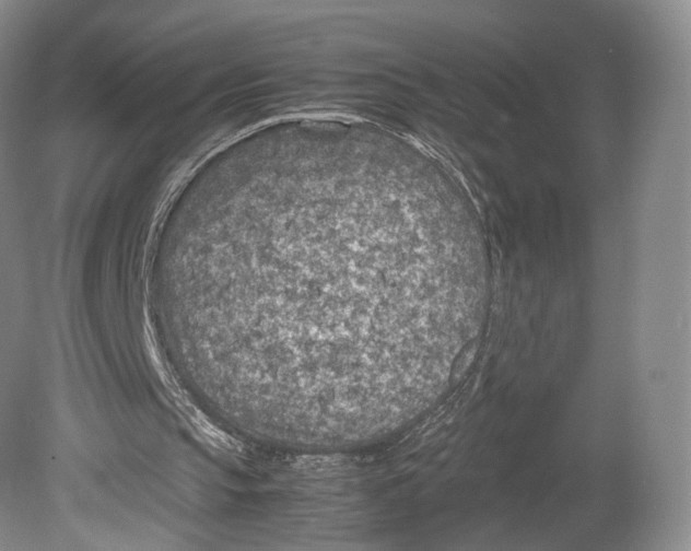 X0000078880145200612111748