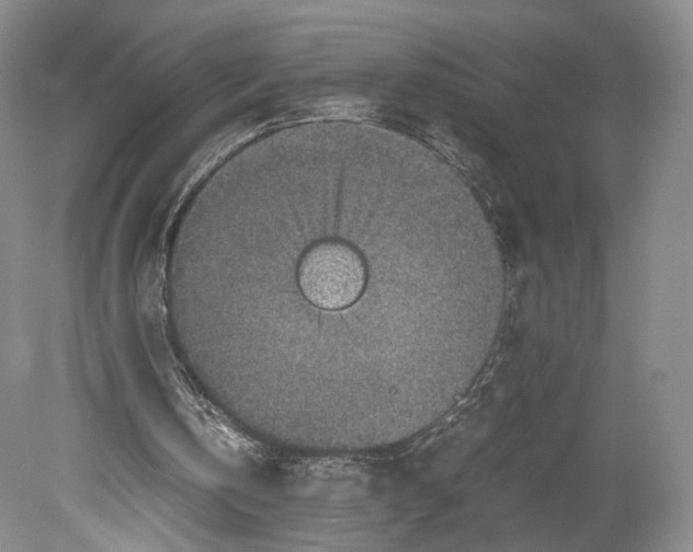 X0000078880146200612111748