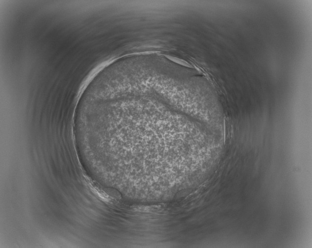 X0000078880147200612111748